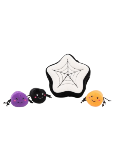 Halloween Burrow - Spider Web