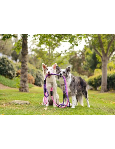 Climbers Original 6 Ft - Purple