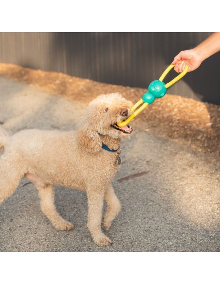 ZippyTuff Monkey RopeTugz® - Pink : Color - Turqouise