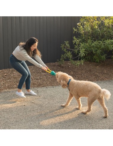 ZippyTuff Monkey RopeTugz® - Pink : Color - Turqouise