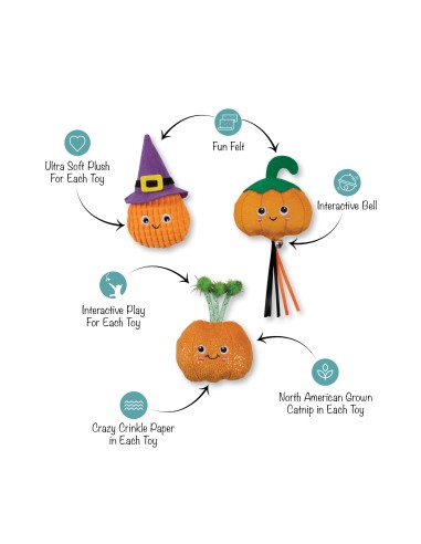 Fringe Witch Of The Patch | Cat - Set