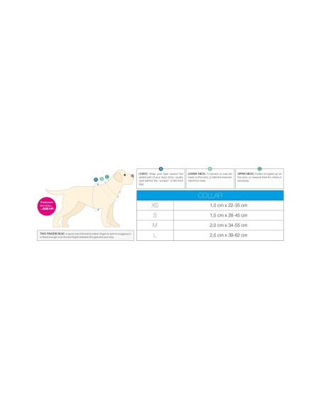 Smart ID Collar - Heroes/M