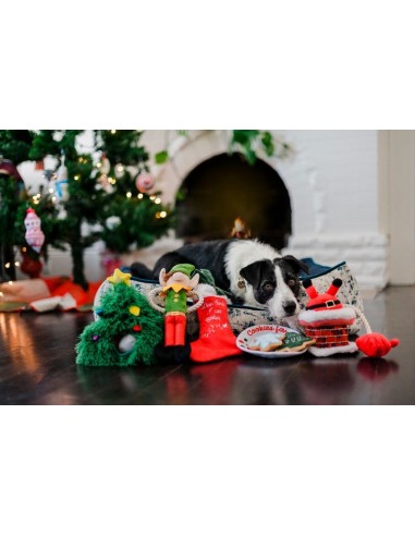 PLAY Display Merry Woofmas Collection