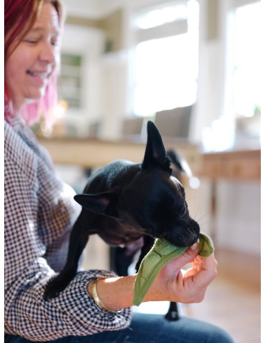 PLAY Display Garden Fresh Collection