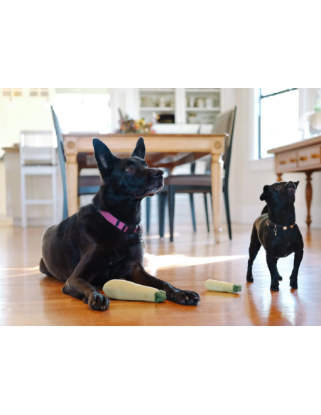 PLAY Display Garden Fresh Collection