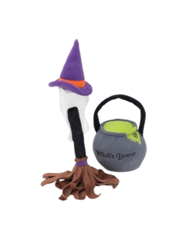 Halloween Costume Kit - Witch