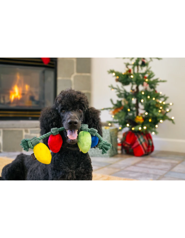 PLAY Home for the Holidays - Holiday Lights
