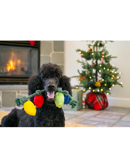 PLAY Home for the Holidays - Holiday Lights