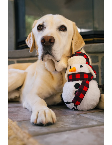 Home for the Holidays Collection - Snowman