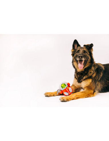 PLAY - Alien Buddy Galaxy Captain