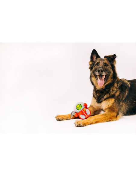 PLAY - Alien Buddy Galaxy Captain