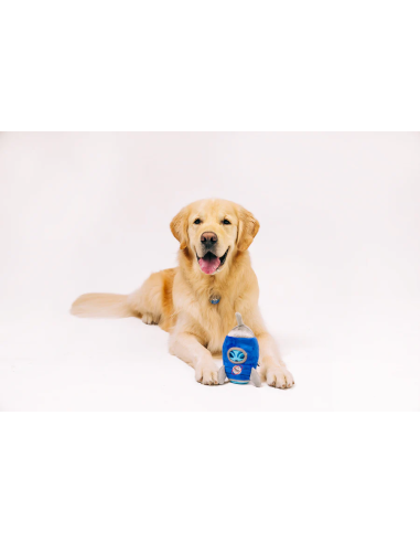 PLAY - Alien Buddy Rocket