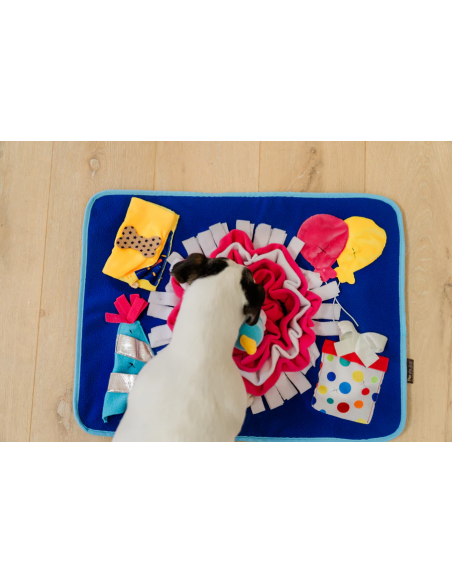 PLAY - Snuffle Mat Celebration