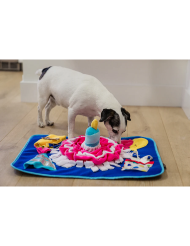 PLAY - Snuffle Mat Celebration