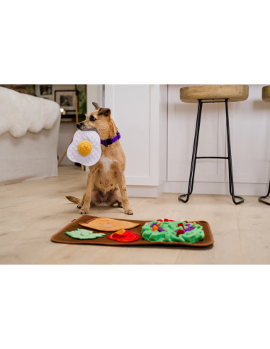 PLAY - Snuffle Mat Savory Sunrise