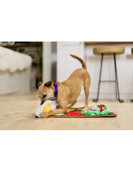 PLAY - Snuffle Mat Savory Sunrise