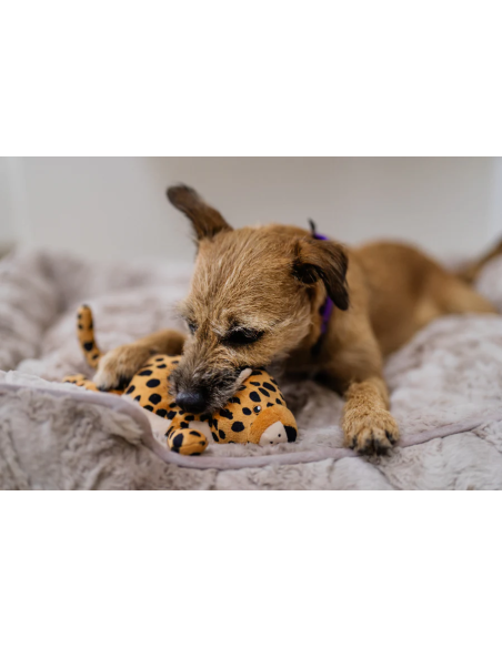 PLAY Big Five of Africa Collection - Leopard