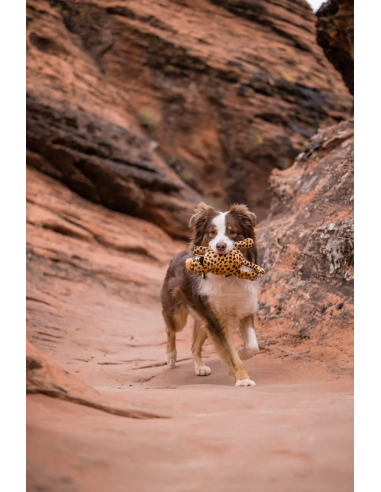 PLAY Big Five of Africa Collection - Leopard