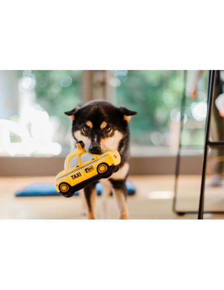 PLAY Canine Commute - New Yap City Taxi