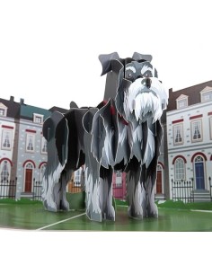 Golden Retriever : Pop-Up Cards - Miniature Schnauzer