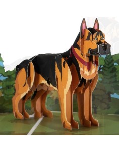 Golden Retriever : Pop-Up Cards - German Shepherd