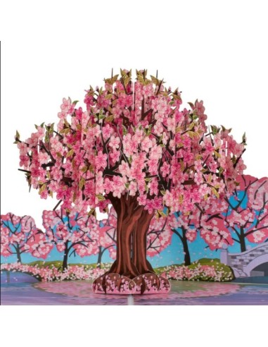 Hummingbird & Lupine : Pop-Up Cards - Pink Cherry Blossom Tree