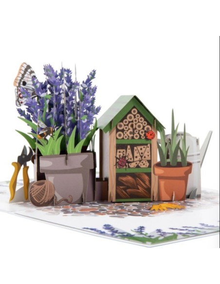 Hummingbird & Lupine : Pop-Up Cards - Lavender