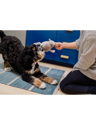 PLAY Big Five of Africa Collection - Rhino