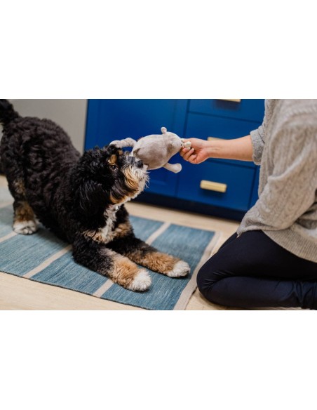 PLAY Big Five of Africa Collection - Rhino