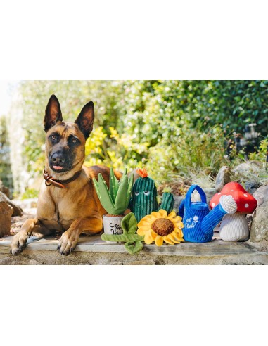 PLAY Blooming Buddies - Giftbox