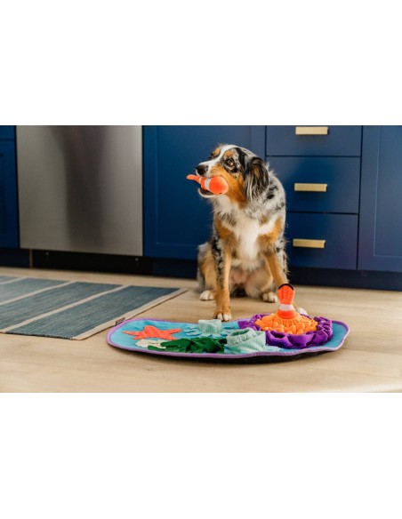 PLAY Snuffle Mat - Coral Cove