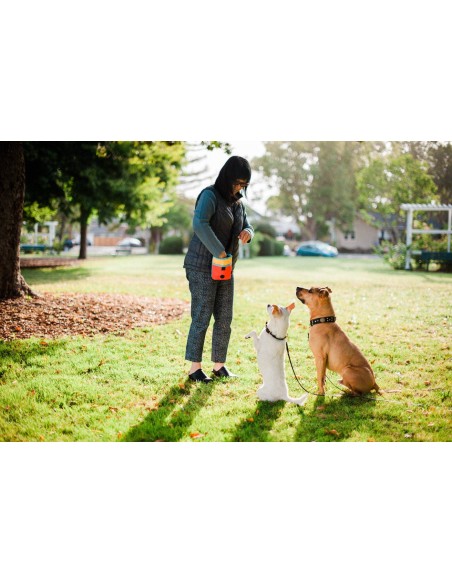 Scout & About - Deluxe Treat Pouch - Moss