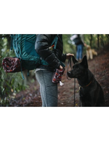 Scout & About - Deluxe Treat Pouch - Wildflower