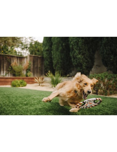 Outdoor Toy_Scout & About - Flying Disc -...