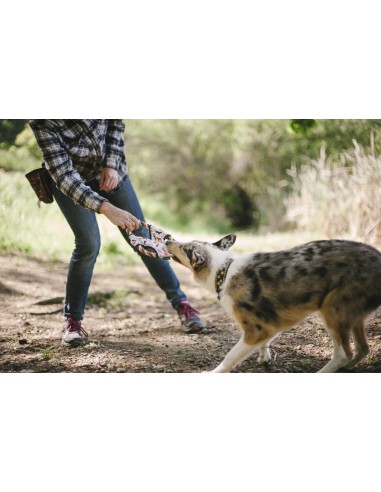 Outdoor Toy_Scout & About - Flying Disc -...