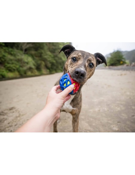 P.L.A.Y Go-Go Astro Ball (Lunar)