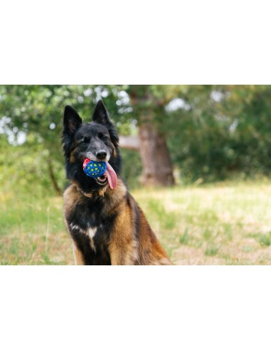 P.L.A.Y Go-Go Astro Ball (Lunar)