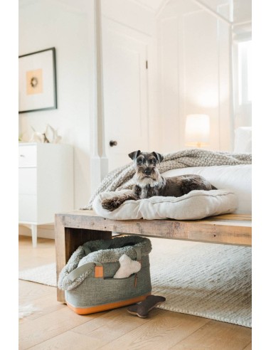 GRAY DELUXE DOG CARRIER