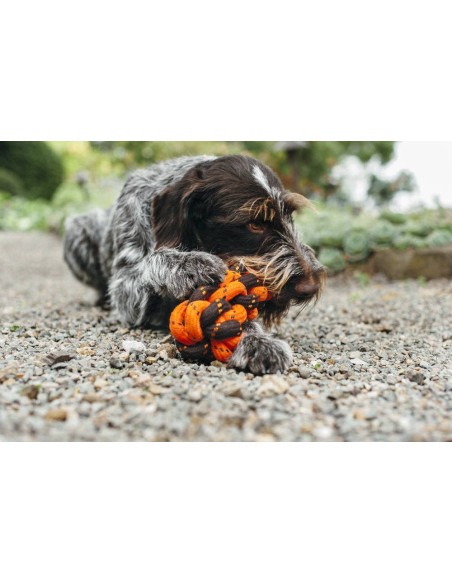 Rope Toy_Scout & About_Honeycomb_L