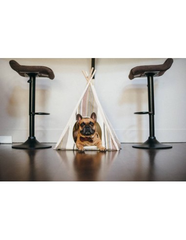 PLAY Teepee_Horizon _ Lake_U