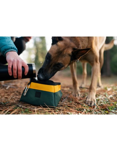 Travel Bowl_Landscape Collection_Moss