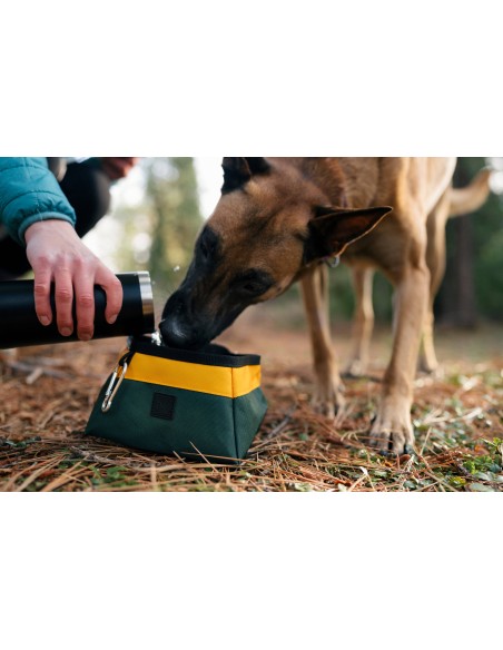 Travel Bowl_Landscape Collection_Moss