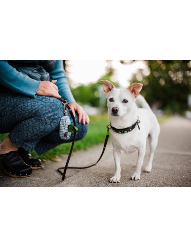 Poop Bag Dispenser - Kalahari Black