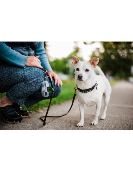 Poop Bag Dispenser - Kalahari Black