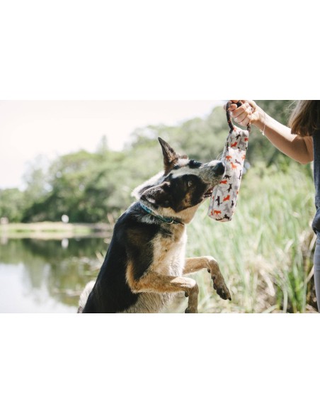 P.L.A.Y Toss & Float Toy