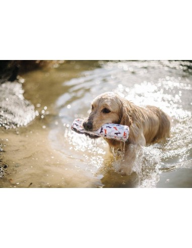 Outdoor Toy_Scout & About - Toss & Float -...