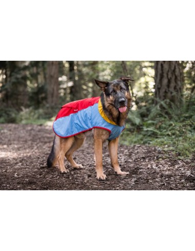 Trailblazer Coat - Sunrise - S