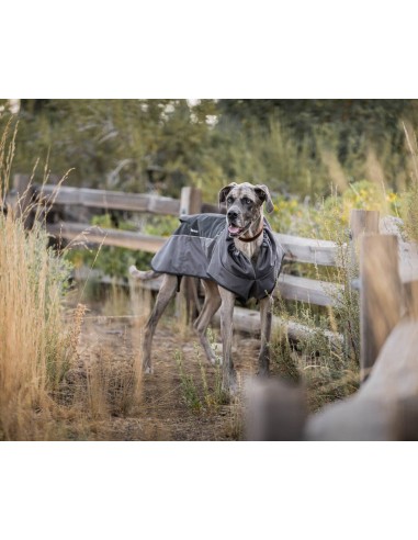 Trailblazer Coat - Eclipse - M