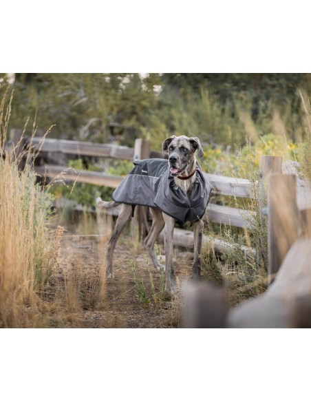 Trailblazer Coat - Eclipse - XL