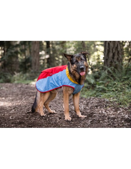 Trailblazer Coat - Moss - L